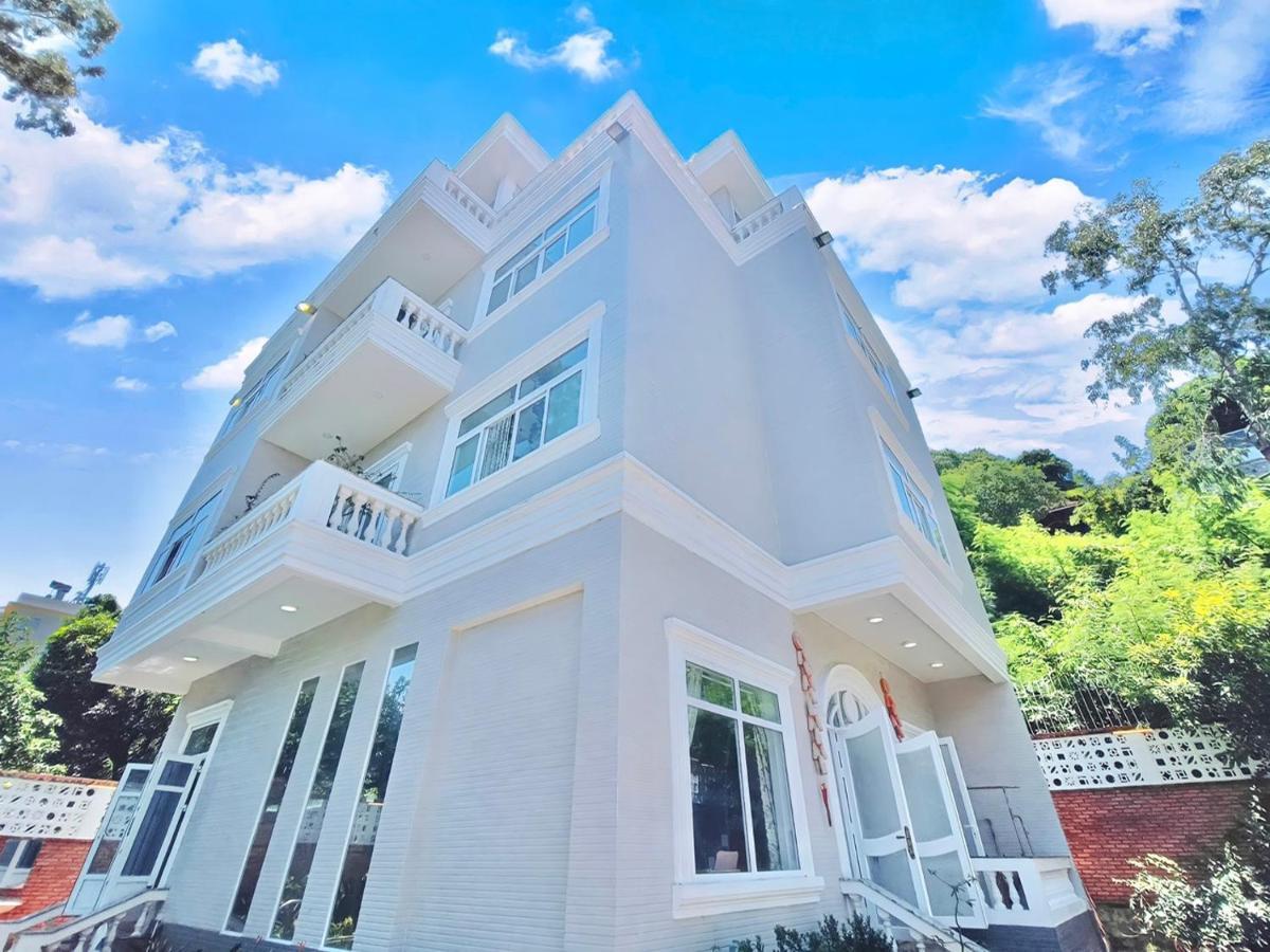 Palm Villa 40- Luxury Vũng Tàu Eksteriør billede